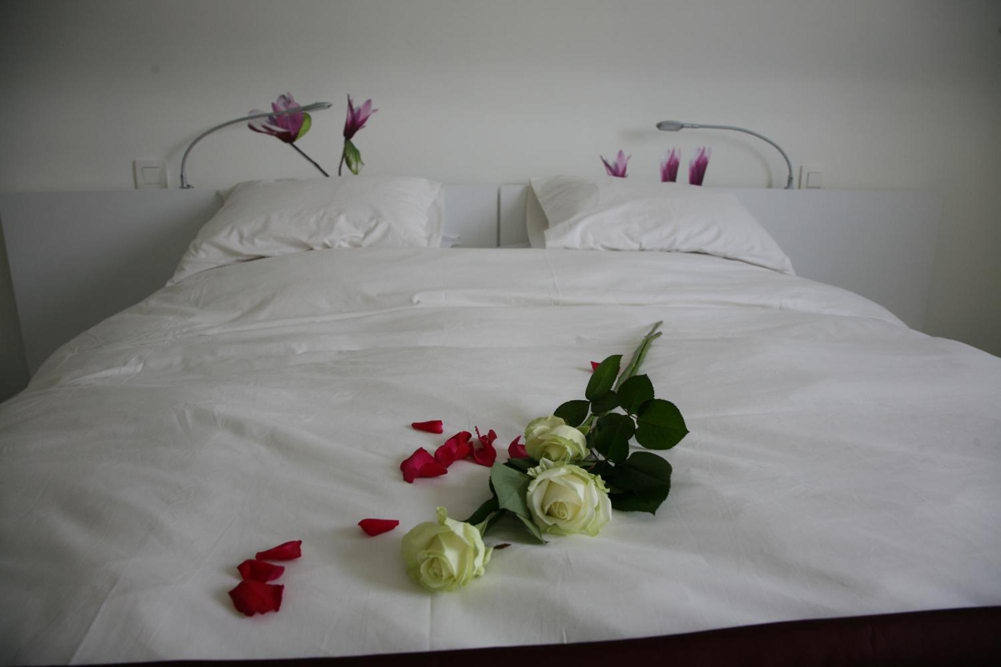 B&B Kanegem Onverbloemd Tielt Kültér fotó